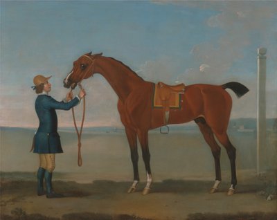 دوق Devonshires الطيران الطائر بواسطة جيمس سيمور
